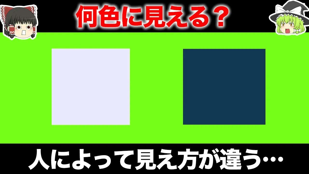 【ゆっくり解説】人によって見え方が変わる…あなたの《深層心理》がわかる動画