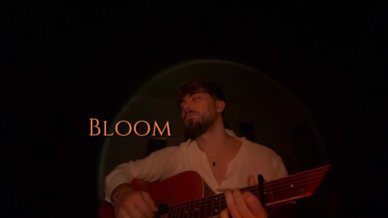 The Paper Kites ￼- Bloom (Cover)