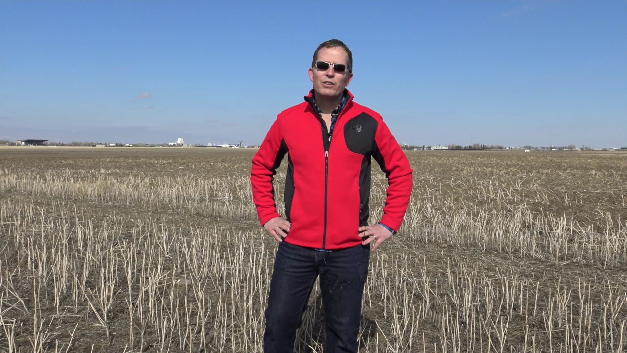 Wheat School: Kernel weight matters when setting seeding rates