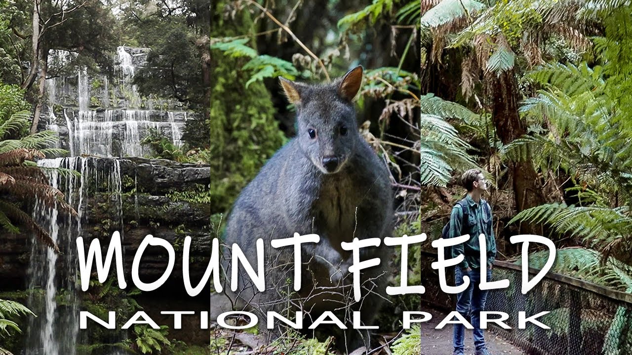 Exploring Tasmania (Mount Field National Park, Australia)
