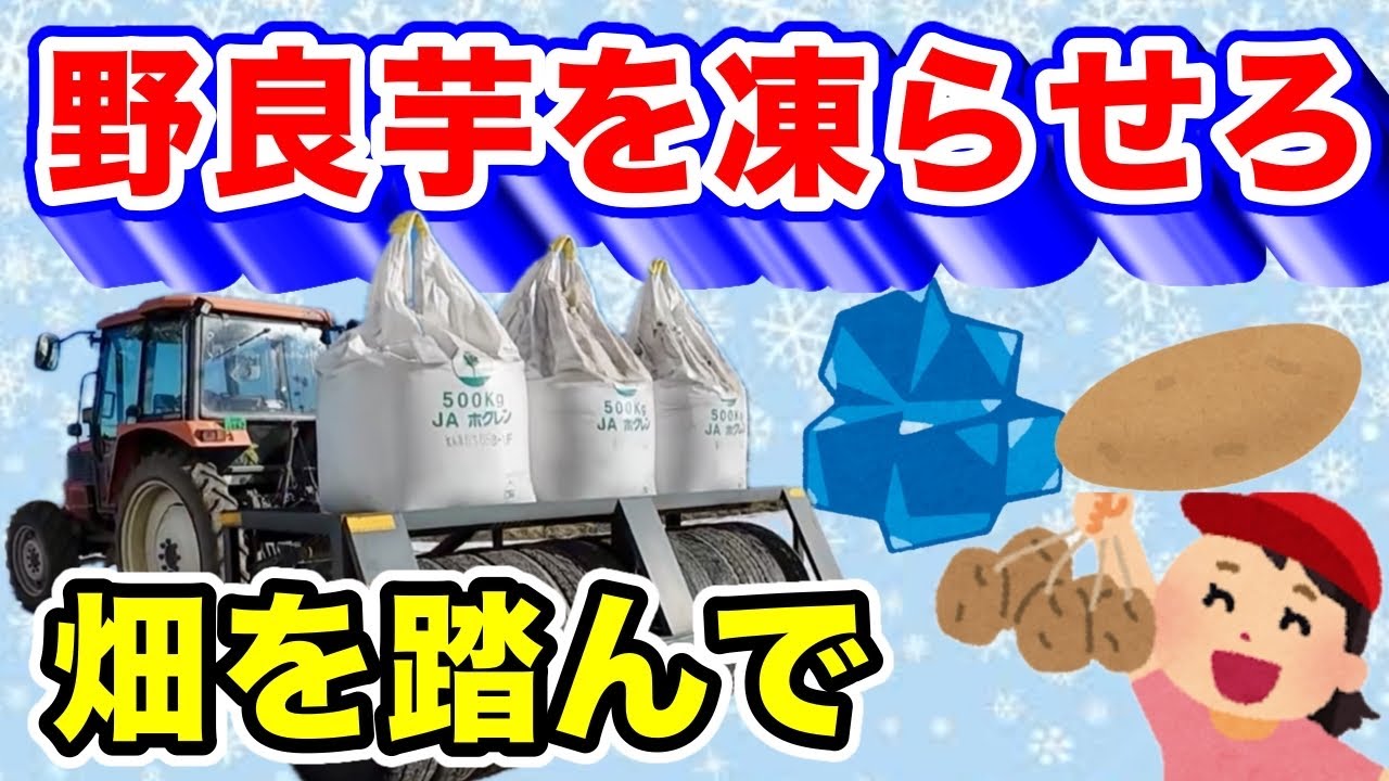 畑を踏み固めて【野良芋を凍らせろ！】