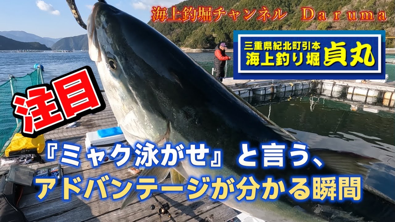 【海上釣堀】海上釣り堀貞丸さんの乗合釣行の模様です。