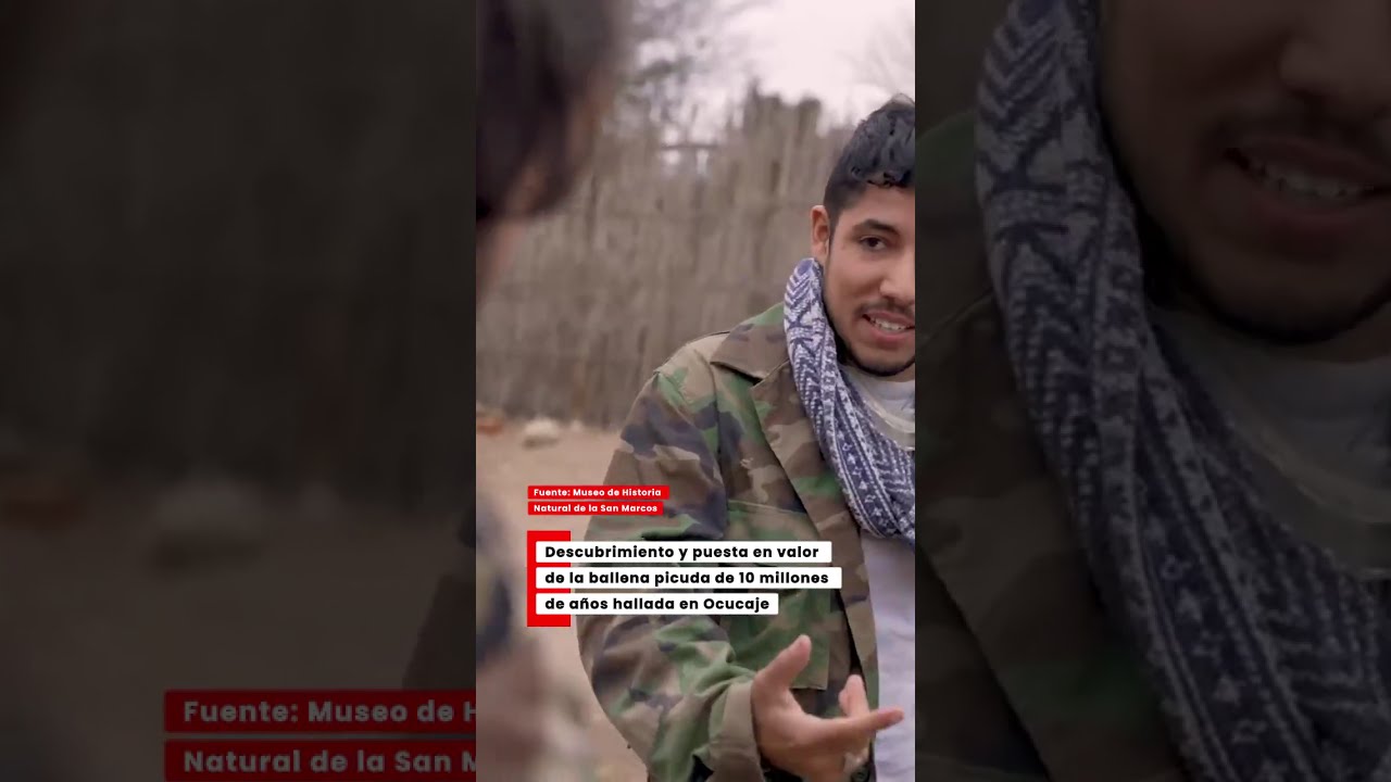 Una ballena de hace 10 millones de años vuelve a ver la luz en el Perú