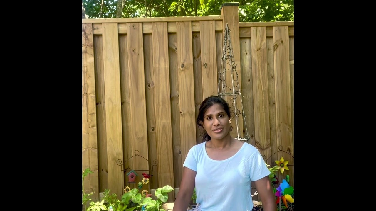 ep.2- Intro to back garden- blooming fertilizer day.