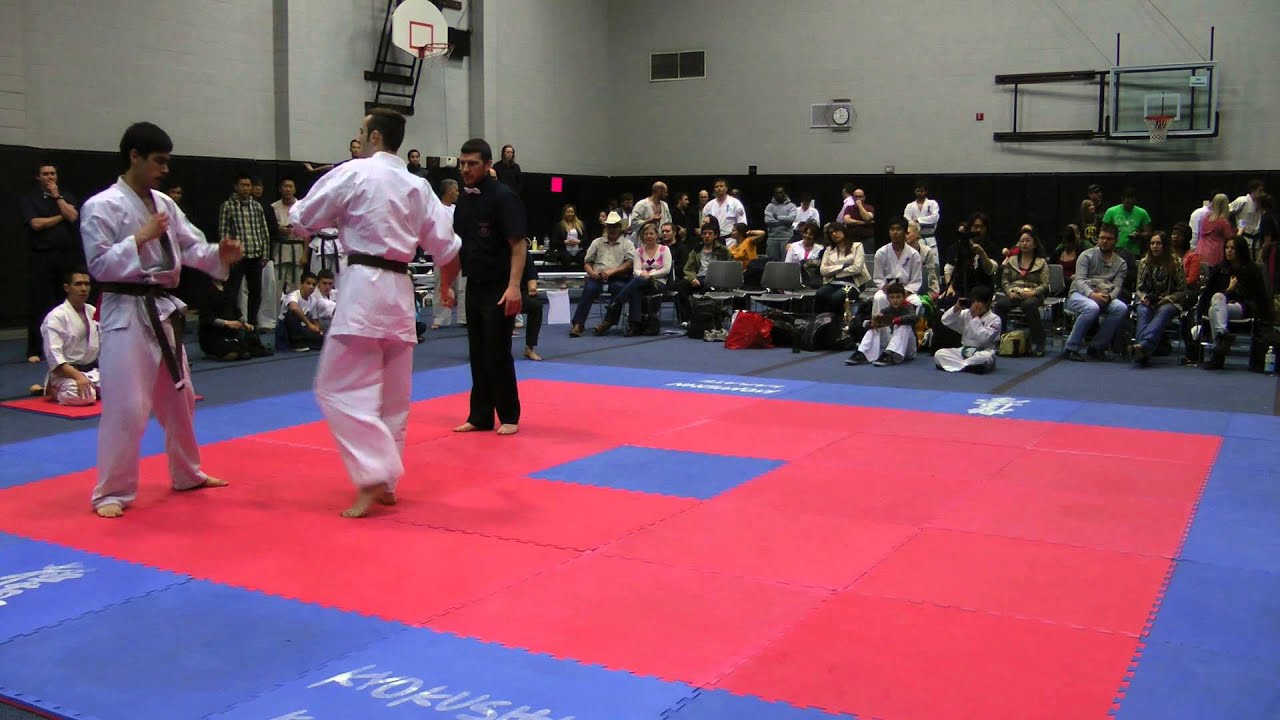 2015 Kyokushin Challenge - Men Lightweight
