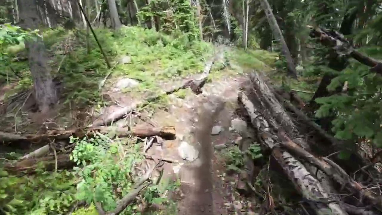 Day 5 Bear Gulch, McIntyre Gulch, Fossil Ridge