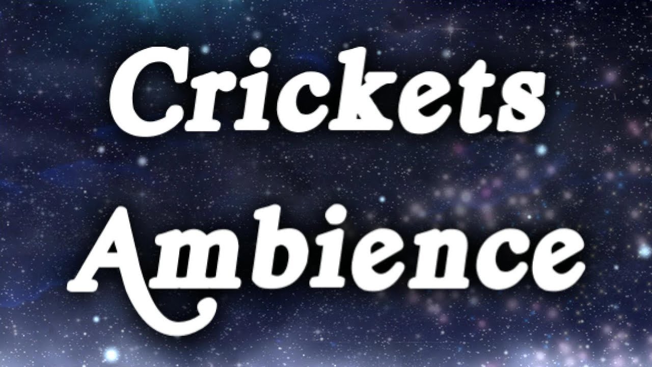 ▶️ Crickets Sounds. Crickets Singing. Crickets Chirping. Crickets Ambience. 12 Hours. 🌏