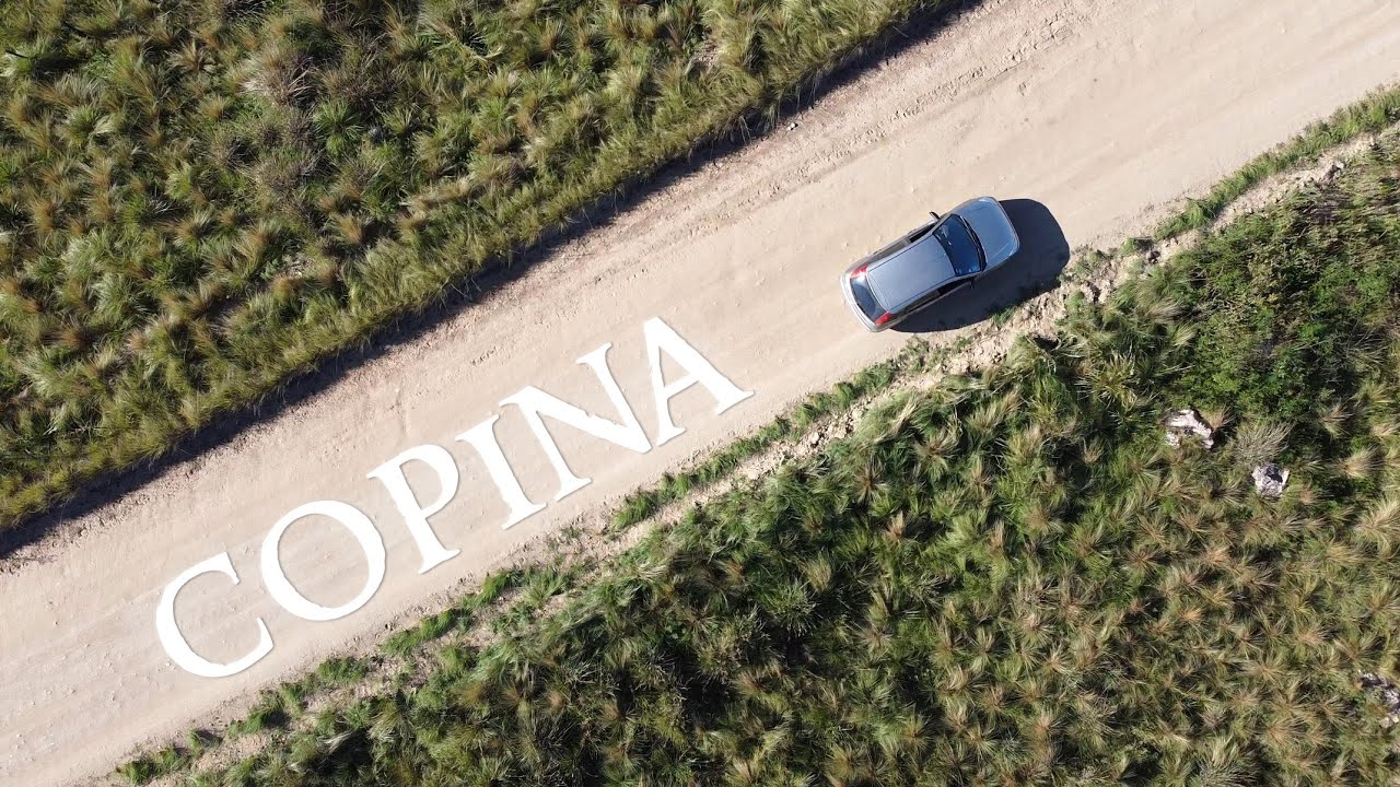 COPINA - CAMINO AL POZO DE LA GANZA