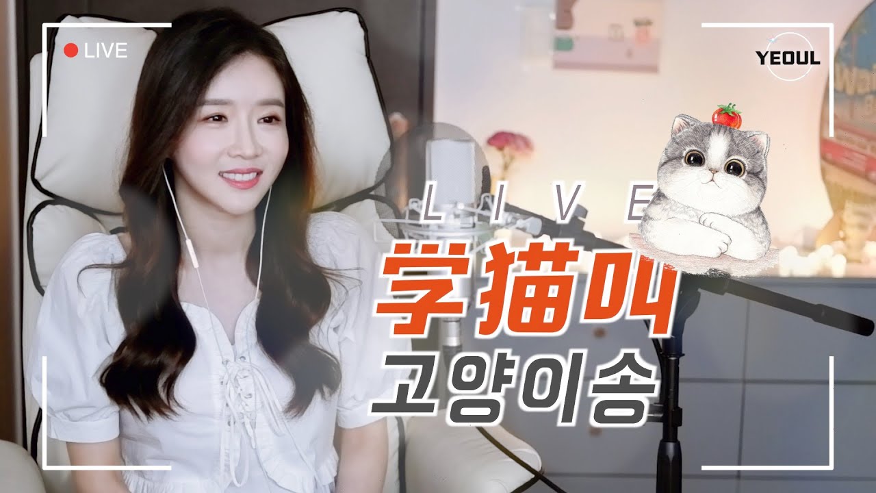 《学猫叫 고양이 소리를 따라해보자》｜중국노래  한국어커버｜COVER by 韩国欧尼蔚蔚한여울