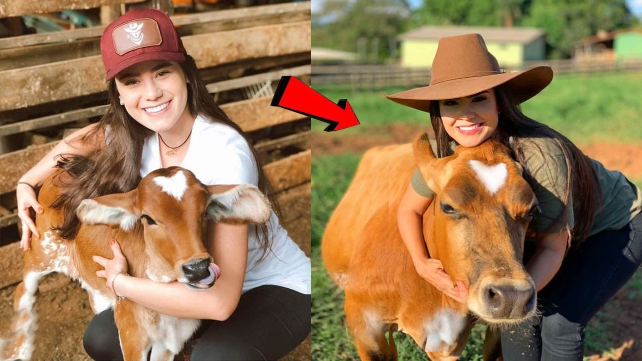 Farmer Unlocks Secret to Automating Cattle Feeding!