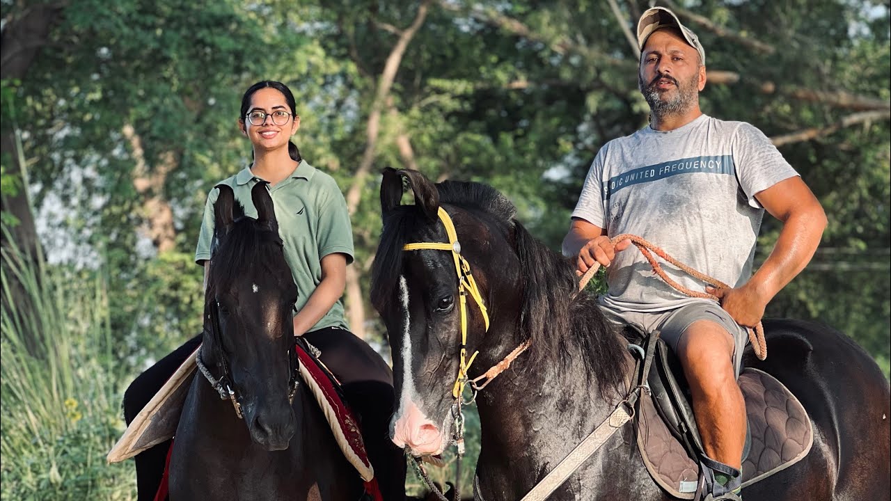 Aj apa gye pind ghodiyan te😃#komalstudfarm