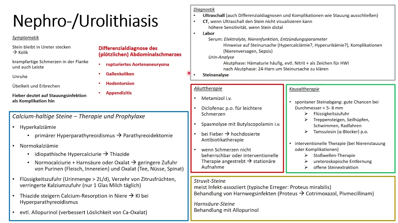 Nierensteine und Harnleitersteine - Eine Einführung für Medizinstudenten