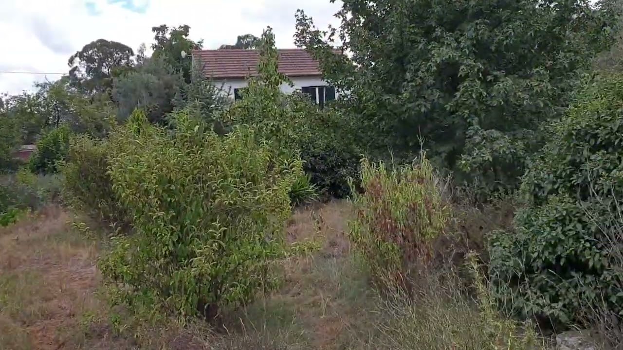 Final look at Casa Azul garden