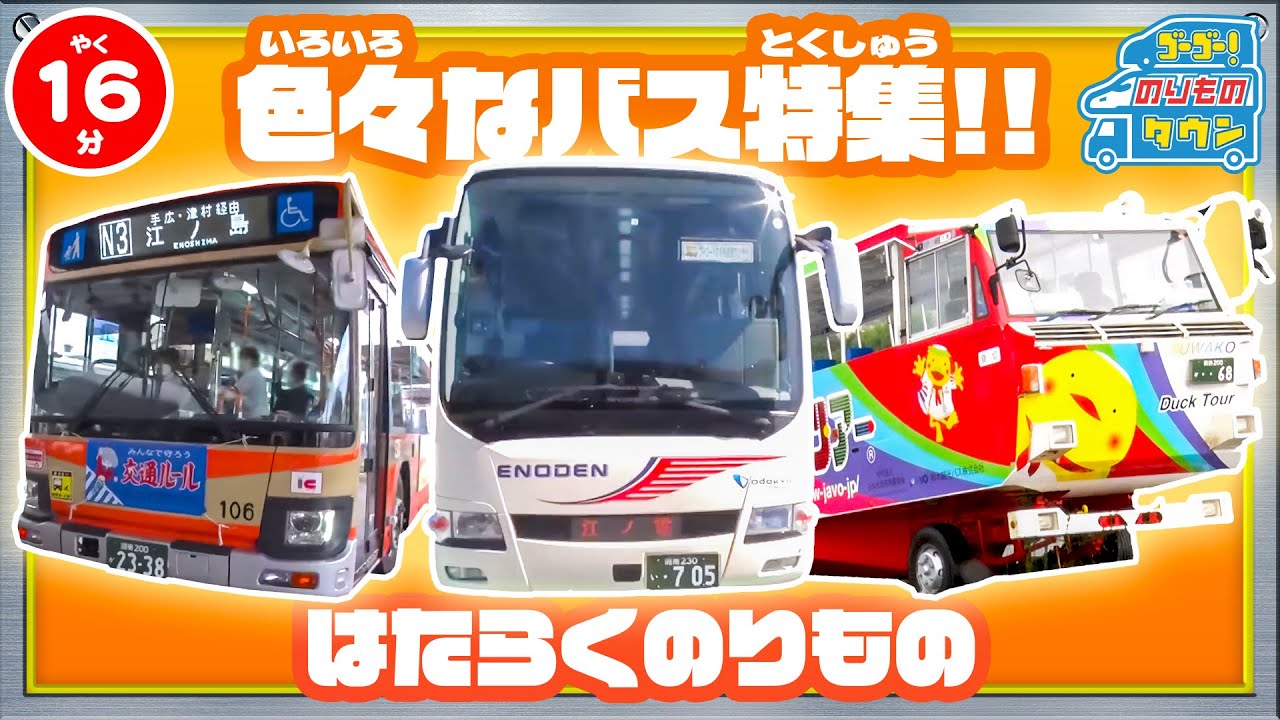 【のりもの図鑑】いろいろなバス特集！(江ノ電 路線バス 観光バス、水陸両用バス)