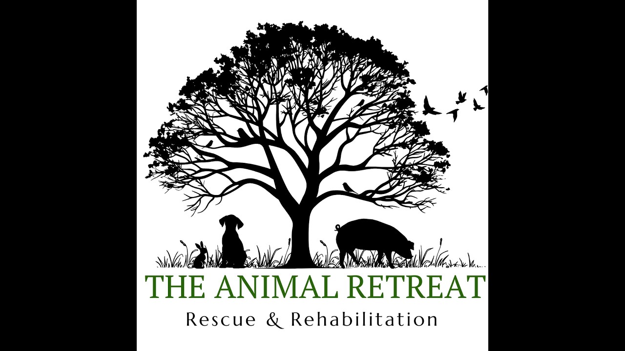Welcome to the Animal Retreat