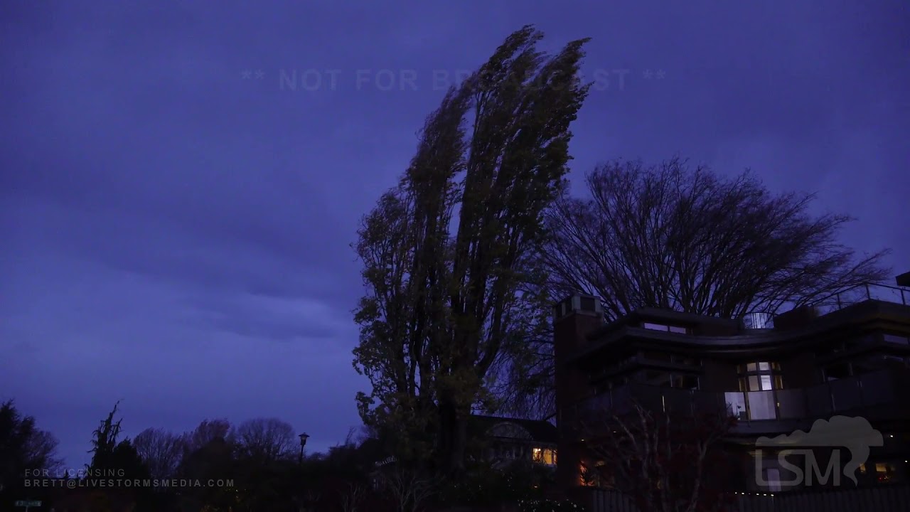 11-09-21 Seattle, WA - Windstorm Blows Through Area