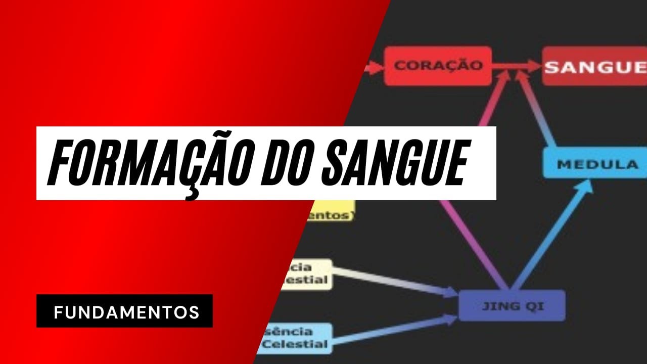 A formação do Sangue