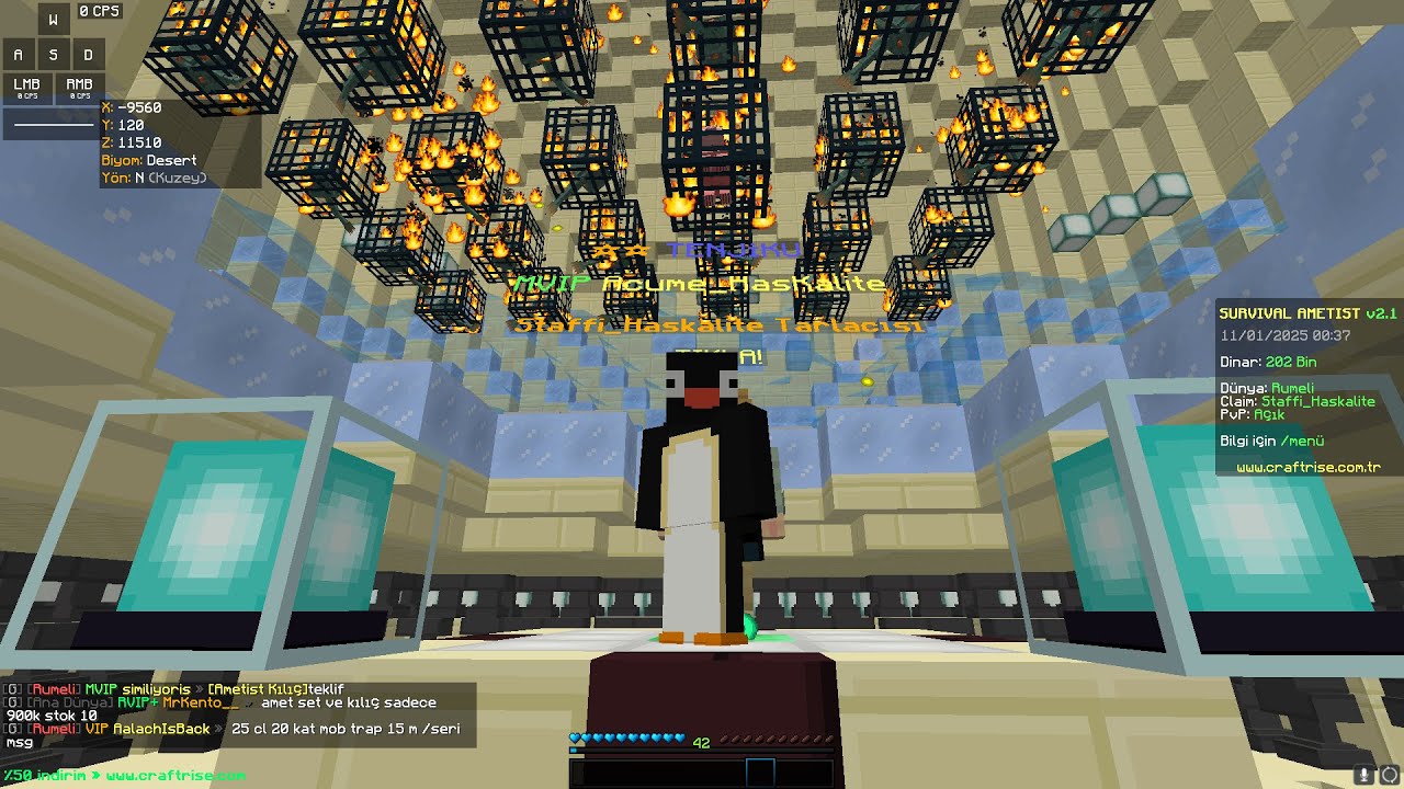 ametist ekip alım,Ametist pvp
