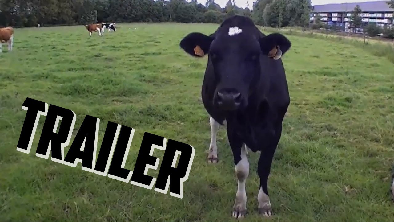 Brilfest Promofilm Trailer