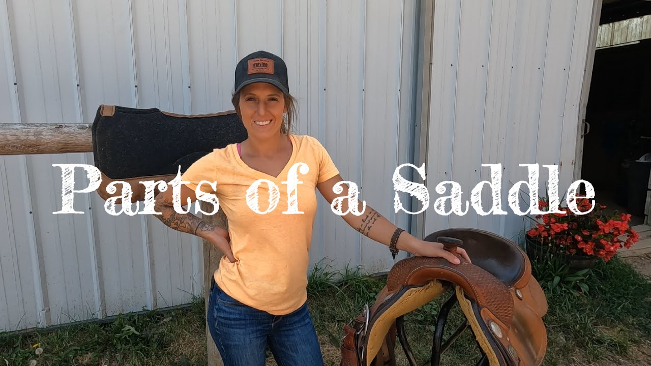 Parts of a Saddle