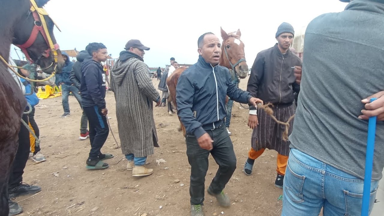 ,حميدطيكطوك.سوق ديال الدراوش سيدي سليمان.200 درهم.شري لك.جدع