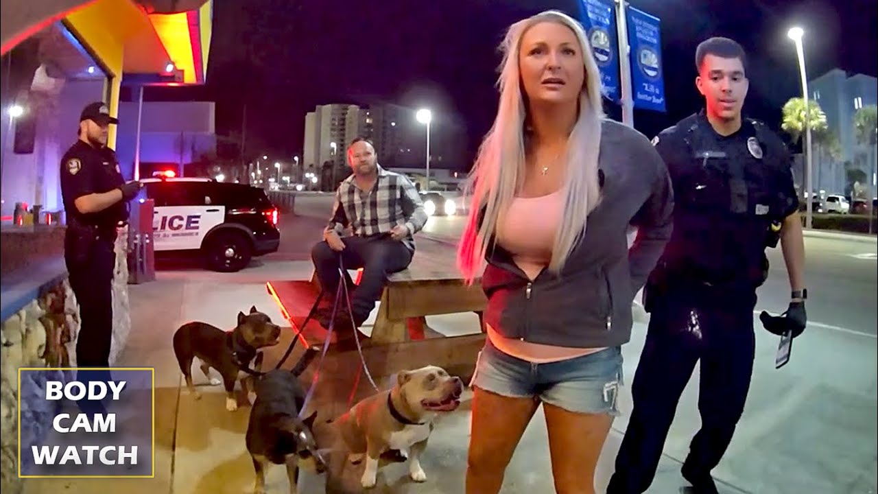When Entitled Drunks Try Bringing Pit Bulls into a Bar