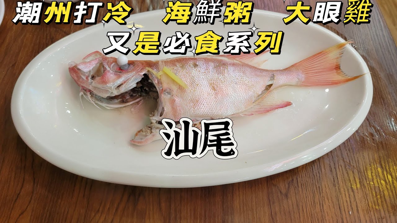 【粵食越肥～汕尾】EP65 (cc字幕)汕尾必食潮州打冷，大眼雞 海鮮粥 鹵鵝，又是街邊特價排檔，地道風味滿瀉