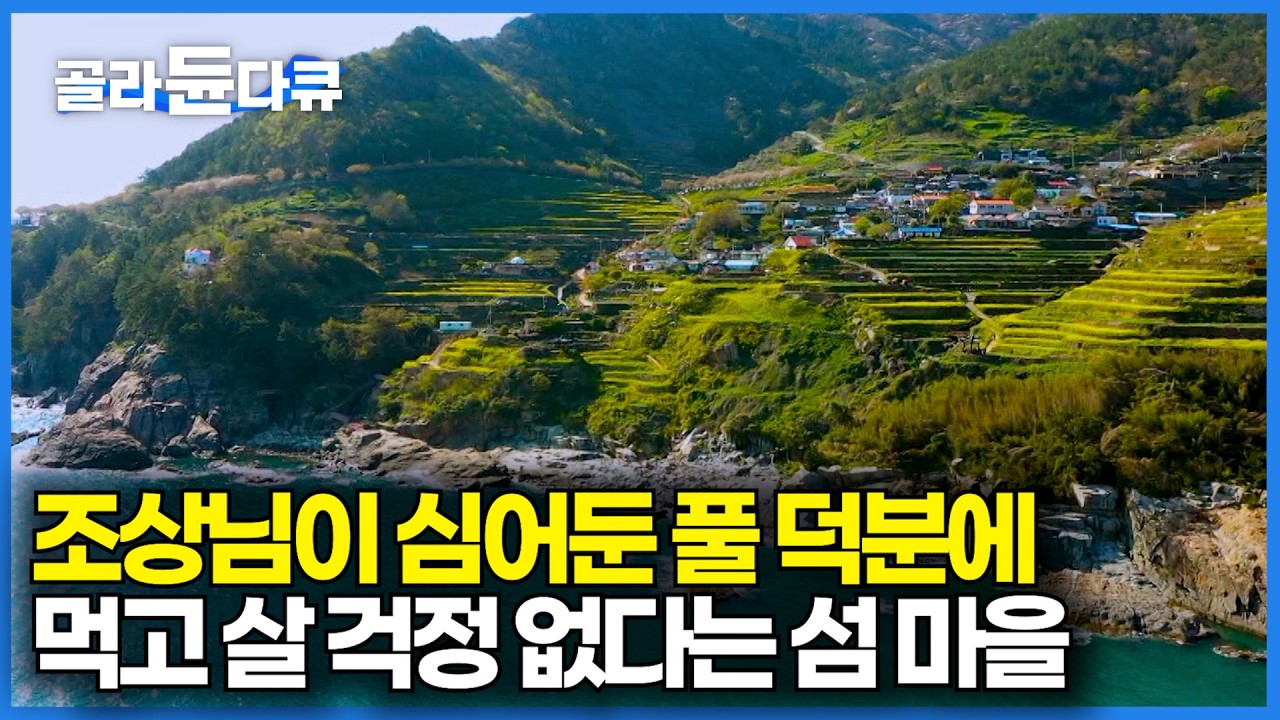 조상님이 섬마을 전체에 심어둔 풀 덕분에 평생 먹고 산다는 사람들｜도시 나가서 살던 아들도 돌아왔다. 마을 전체 먹여살리는 풀 정체｜한국기행｜#골라듄다큐