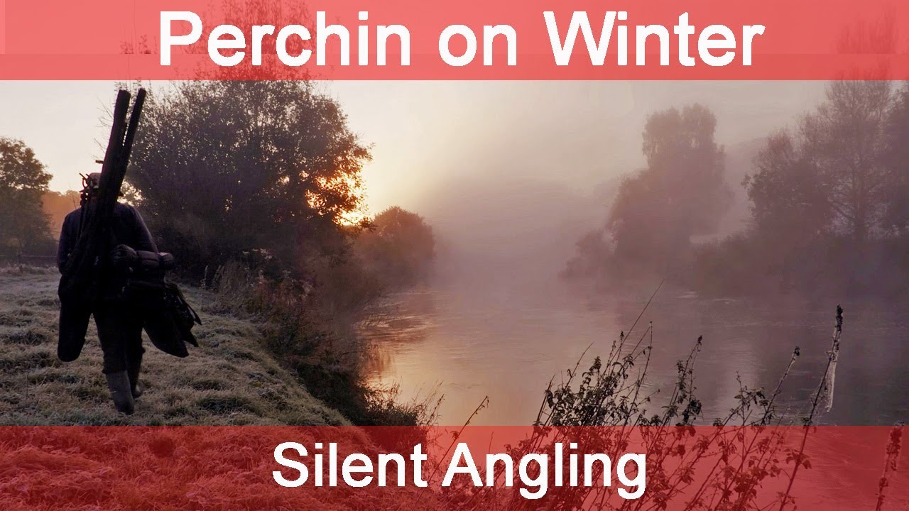 Perch Fishing River UK - Float fishing  Centerpin - hints tips tricks - Silent Angling