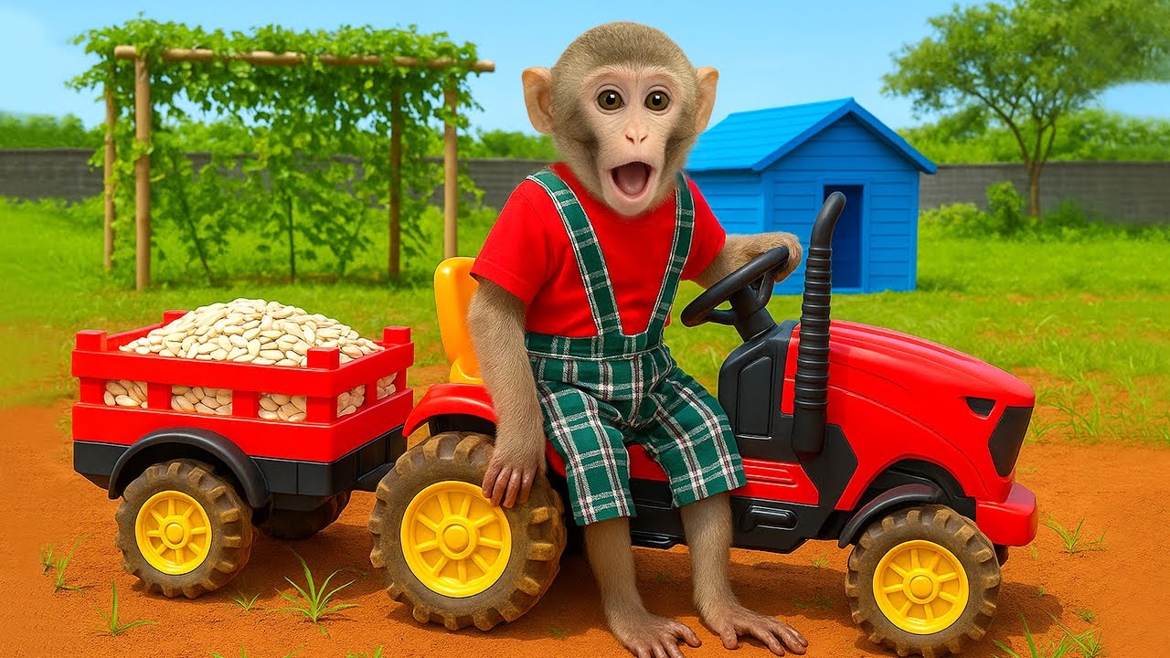 BimBim the Monkey Drives a Tractor to the Farm with Seeds &ndash; A High-Energy, Productive Day!