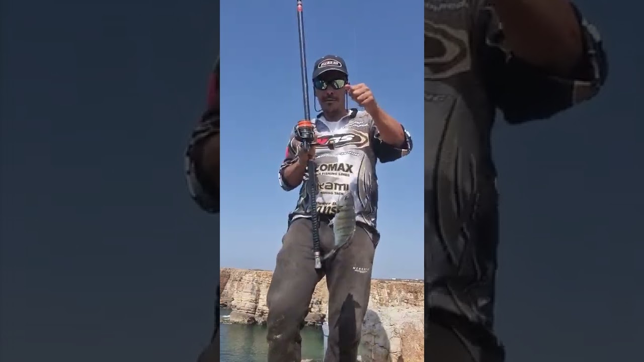 sargo em altura