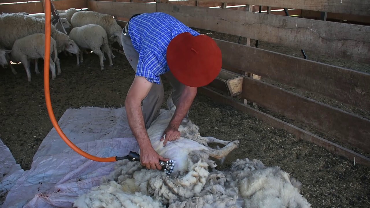 Demostración Esquila