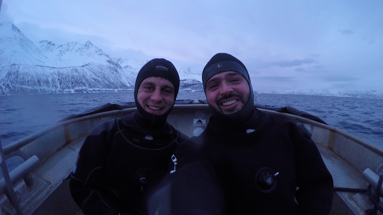 Swimming with Orca's in Skjervøy Jan 2018