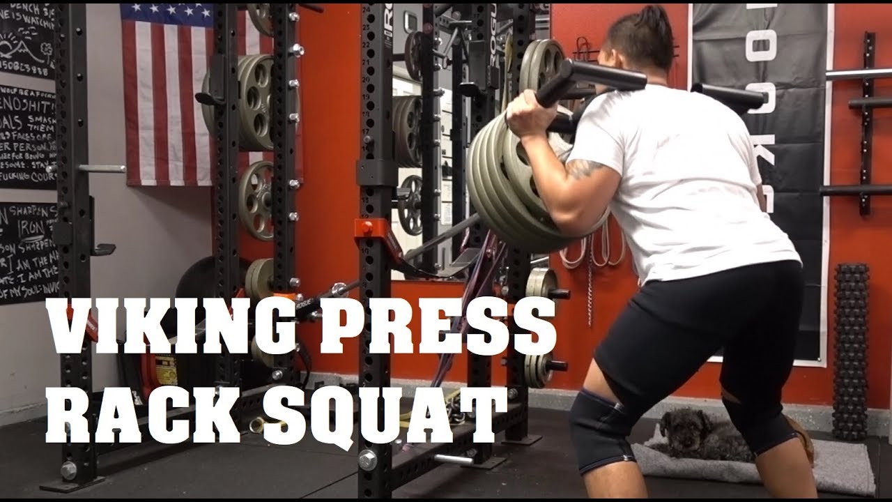 VIKING PRESS RACK SQUAT