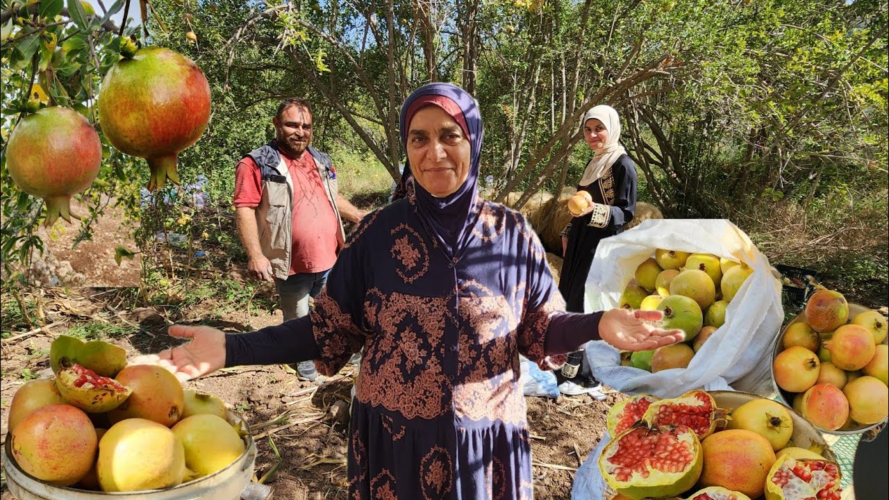 قطاف الرمان للدبس في القرية المجاورة(الحويش)🇱🇧😍صبحية في الطبيعة الخلّابة❤️🥰