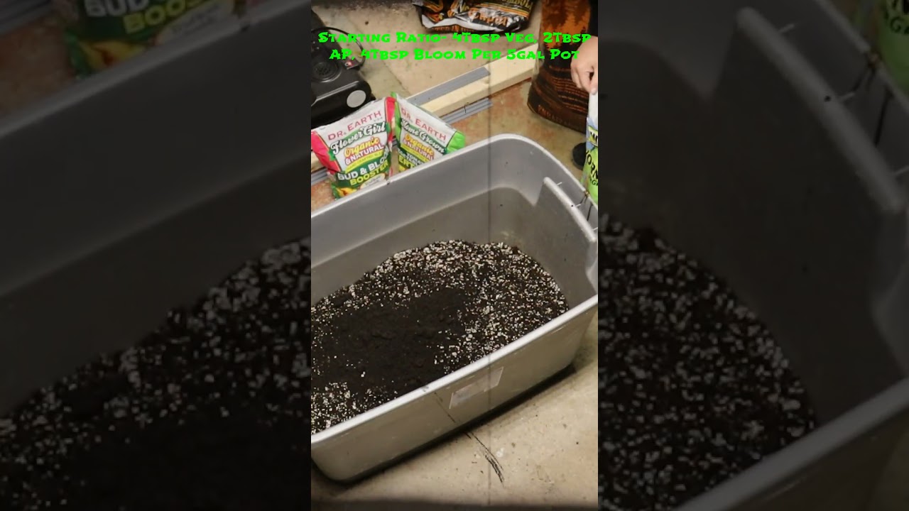 How I Start My Autoflowers | Dr. Earth vs. Gaia Green | Water Only Grow