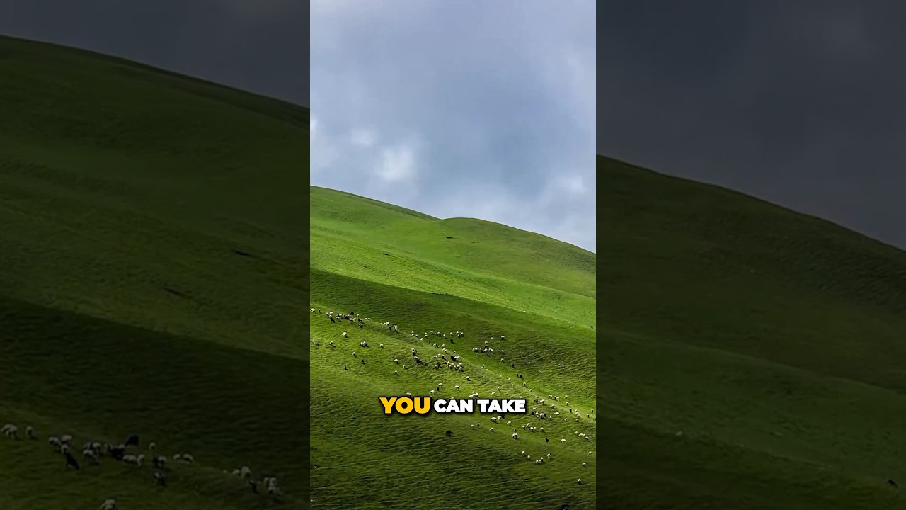 ⚠️Dangerously Beautiful: This Meadow Will Steal Your Heart (Ali Bedni Bugyal Trek)