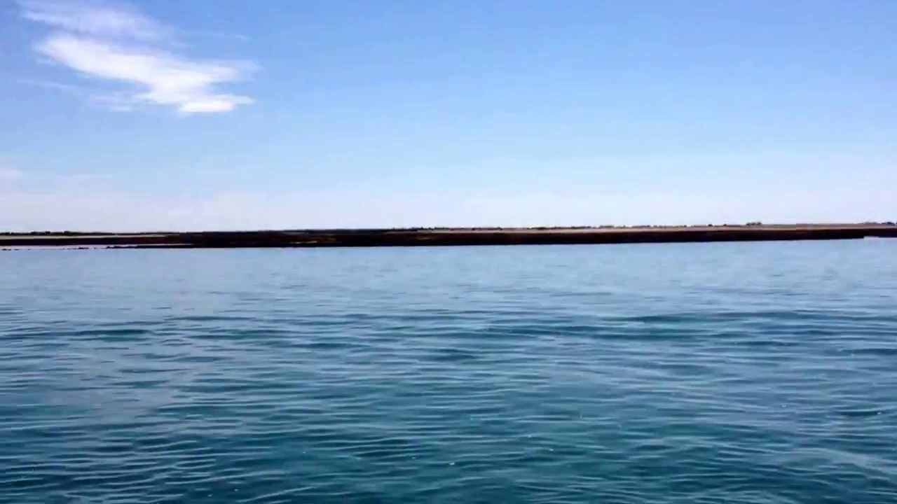 Arriv&eacute;e &agrave; la patache