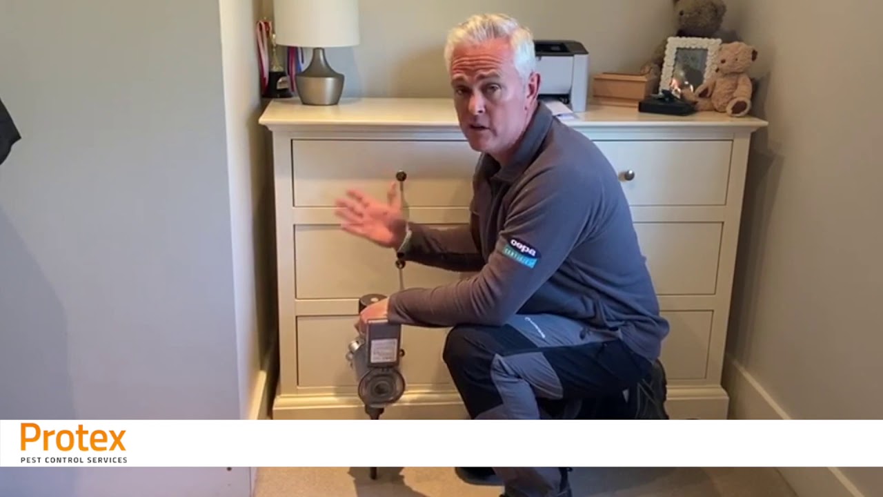 Instructional Video - Common Clothes Moths