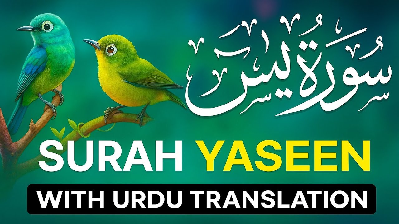 Surah Yaseen (Yasin) with Urdu Translation | SURAH YASEEN BEAUTIFUL RECITATION | سورہ یاسین
