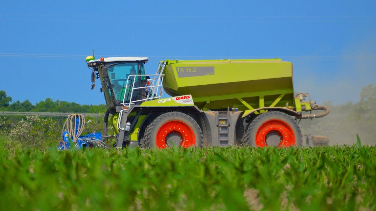 Plečkovanie kukurice  | Claas Xerion 4200 Saddle Trac | Donau farm