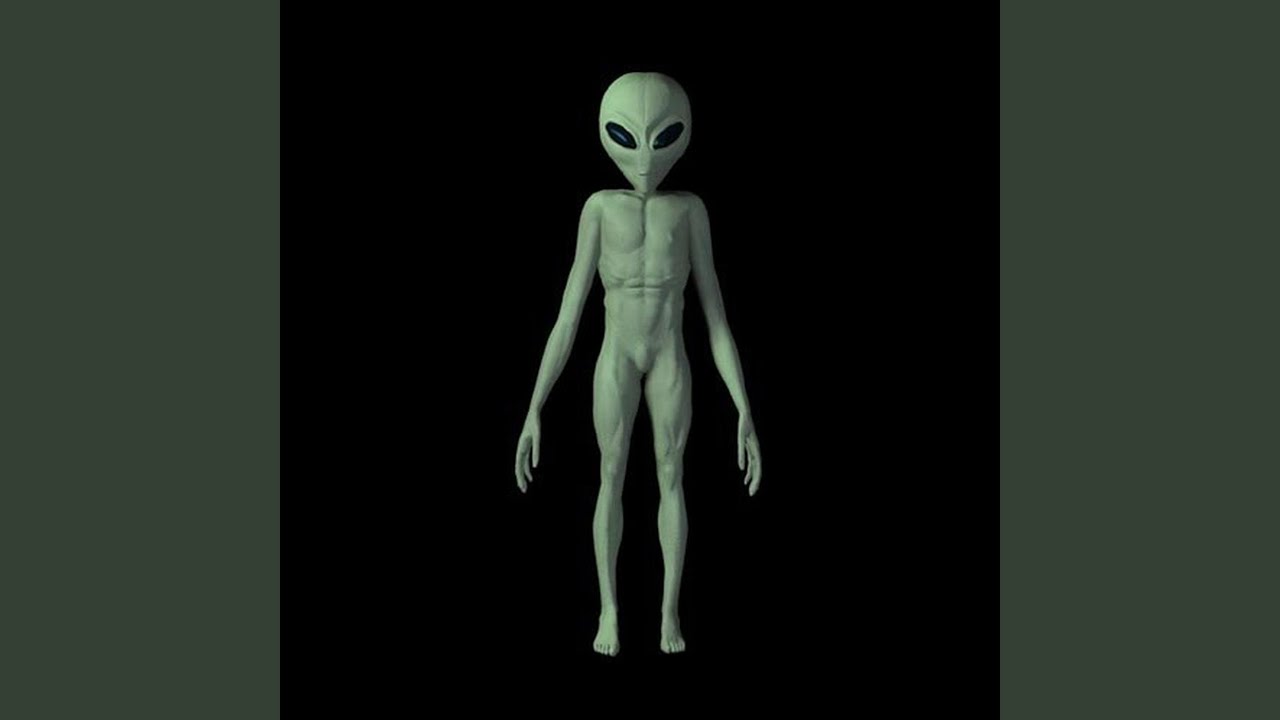 Subliminal Message Alien Grey Wisdom