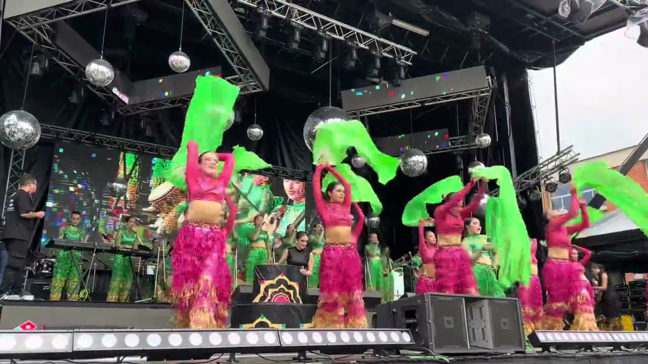 Gaitas Campitos Bollywood 2025 - Toque Claret 