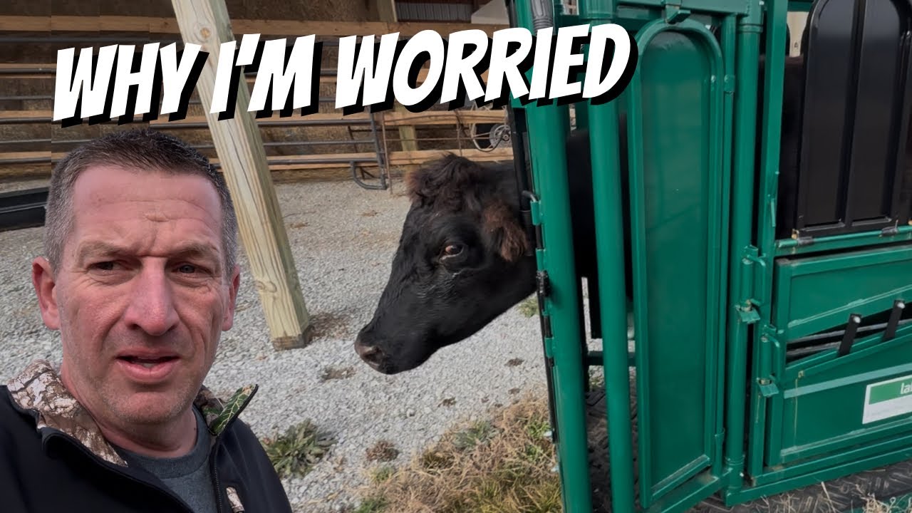 I Instantly Knew Something Was Wrong 