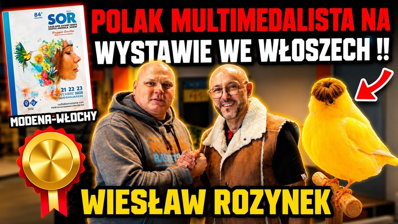 #41 POLAK MULTIMEDALISTĄ NA WYSTAWIE PTAKÓW W MODENIE ( WŁOCHY) Wiesław Rozynek - wywiad z hodowcą.