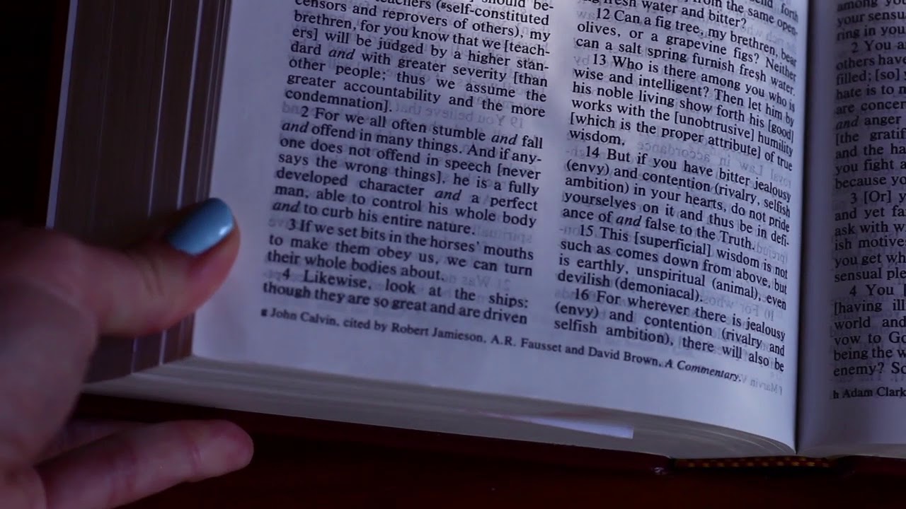Reading the book of James (from the amplified Bible)