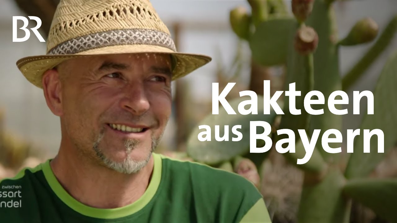 Kakteen aus dem Chiemgau: Lebensweg mit Dornen | Zwischen Spessart und Karwendel | BR