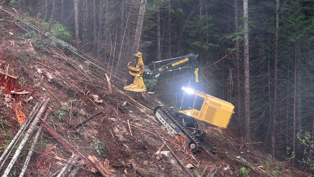 Idaho Logging - Tethered Feller Buncher - Tigercat LX780D