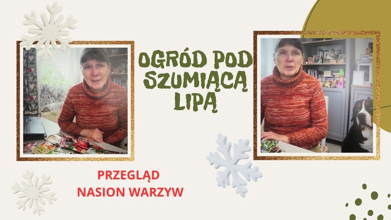 Przegląd nasion warzyw.