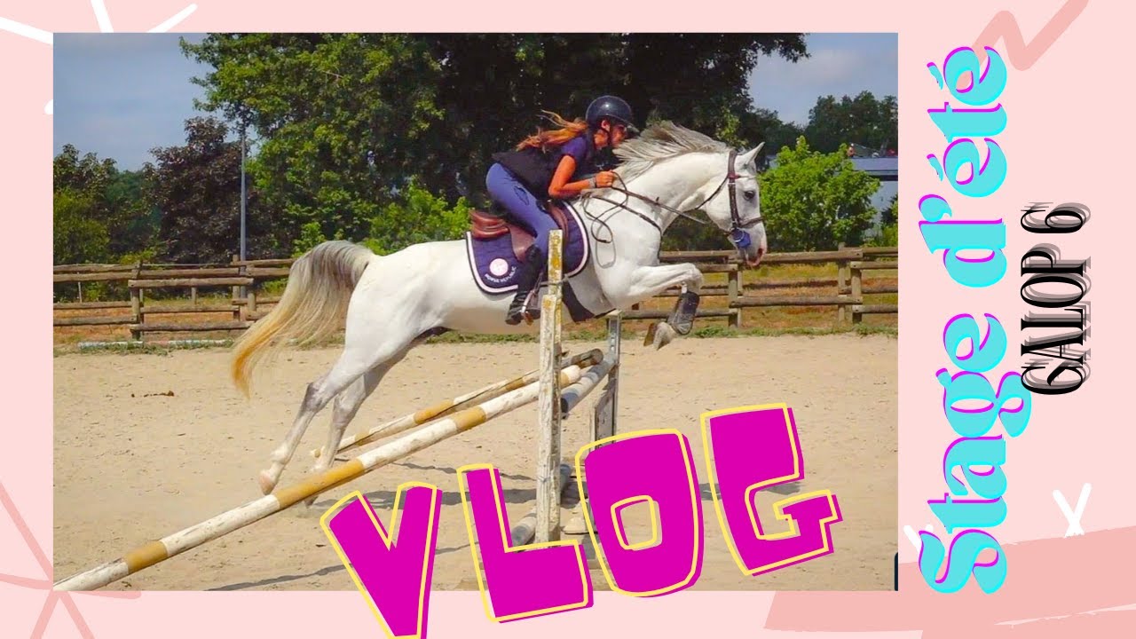 Stage d'été EQUITATION / Je passe mon Galop 6👩🏻‍🎓